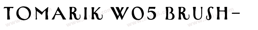 Tomarik W05 Brush字体转换 Tomarik W05 Brush字体转换